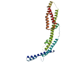 Small Kinetochore Associated Protein (SKAP)