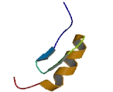 TRAF6 Inhibitory Zinc Finger Protein (TIZ)