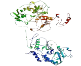 TRRP4 Associated Protein (TRPC4AP)