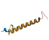 TSC22 Domain Family, Member 2 (TSC22D2)