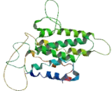 Tachykinin Receptor 3 (TACR3)