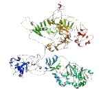 Tankyrase 1 Binding Protein 1 (TNKS1BP1)