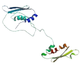 Tar RNA Binding Protein 2 (TARBP2)