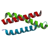 Target Of Myb1 Like Protein 1 (TOM1L1)