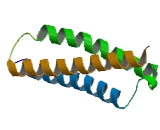 Target Of Myb Protein 1 (TOM1)