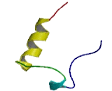 Targeting Protein For Xklp2 (TPX2)