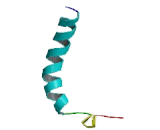 Taste Receptor Type 2 Member 10 (TAS2R10)