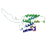 Taste Receptor Type 2 Member 16 (TAS2R16)