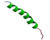 Taste Receptor Type 2 Member 20 (TAS2R20)