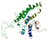 Taste Receptor Type 2 Member 30 (TAS2R30)