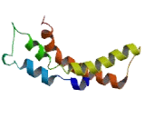 Taste Receptor Type 2 Member 39 (TAS2R39)