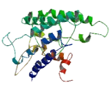 Taste Receptor Type 2 Member 4 (TAS2R4)