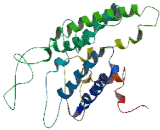 Taste Receptor Type 2 Member 46 (TAS2R46)