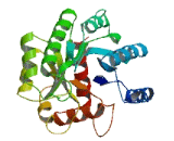 TatD DNase Domain Containing Protein 3 (TATDN3)