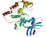 Tau-Tubulin Kinase 2 (tTBK2)