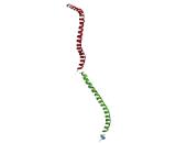 Tax1 Binding Protein 1 (TAX1BP1)