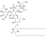 Tay-Sachs Ganglioside (GM2)