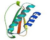 Tctex1 Domain Containing Protein 1 (TCTEX1D1)