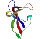 Tectonin Beta Propeller Repeat Containing Protein 1 (TECPR1)