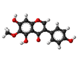 Tectorigenin (TG)