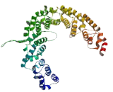 Tel2 Interacting Protein 2 (TTI2)