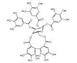 Tellimagrandin II (TG-II)