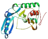 Telomerase Regulation Associated Protein (TRAP)