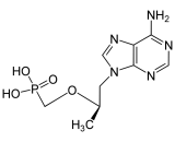 Tenofovir (TNF)