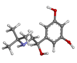 Terbutaline (TBT)