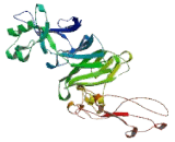 Testicular Cell Adhesion Molecule 1 (TCAM1)