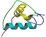 Testicular Receptor 2 (TR2)