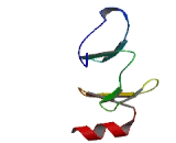 Testis Derived Transcript (TES)