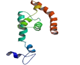 Testis Enhanced Gene Transcript (TEGT)