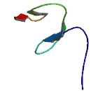 Testis Expressed Protein 13A (TEX13A)