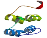 Testis Expressed Protein 14 (TEX14)