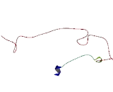 Testis Expressed Protein 2 (TEX2)