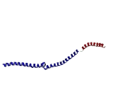 Testis Expressed Protein 28 (TEX28)