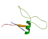 Testis Expressed Protein 101 (TEX101)