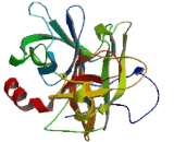 Testis Serine Protease 3 (TESSP3)