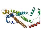 Lysine Rich Nucleolar Protein 1 (KNOP1)