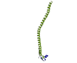 Testis Specific Serine Kinase Substrate (TSKS)