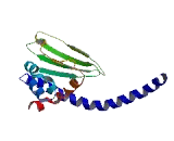 Testis Specific Y Encoded Like Protein 1 (TSPYL1)