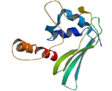 Testis Specific Y Encoded Like Protein 3 (TSPYL3)