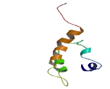 Testis Specific Y Encoded Like Protein 6 (TSPYL6)