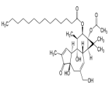 Tetradecanoylphorbol Acetate (TPA)