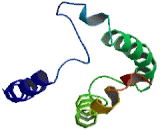 Tetraspanin 5 (TSPAN5)