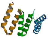 Tetratricopeptide Repeat Domain Protein 1 (TTC1)