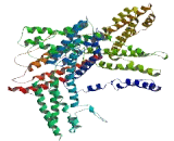 Tetratricopeptide Repeat Domain Protein 13 (TTC13)