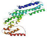 Tetratricopeptide Repeat Domain Protein 14 (TTC14)