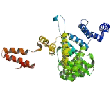 Tetratricopeptide Repeat Domain Protein 15 (TTC15)